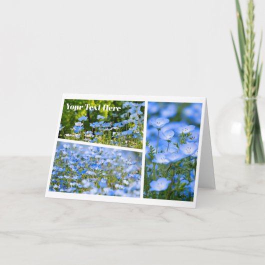 NEMOPHILA(Baby Blue Eyes) Karte (Vorderseite)