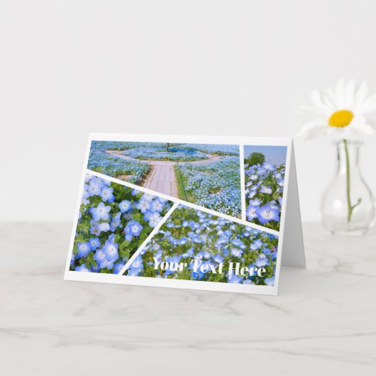 NEMOPHILA(Baby Blue Eyes) Karte (Kleine Pflanze)