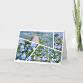 NEMOPHILA(Baby Blue Eyes) Karte (Vorderseite)
