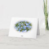NEMOPHILA(Baby Blue Eyes) Karte (Rückseite)