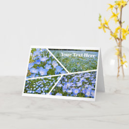 NEMOPHILA(Baby Blue Eyes) Karte