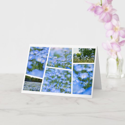 NEMOPHILA（Baby Blue Eyes） Karte (Orchidee)