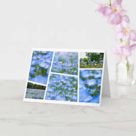 NEMOPHILA（Baby Blue Eyes） Karte