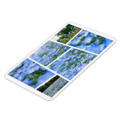 NEMOPHILA (Baby Blue Eyes) Magnet (Linke Seite)