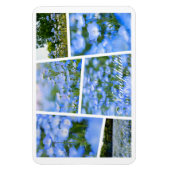 NEMOPHILA (Baby Blue Eyes) Magnet (Vertikal)
