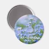 NEMOPHILA (Baby Blue Eyes) Magnet (Vorderseite/Rückseite)