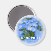 NEMOPHILA (Baby Blue Eyes) Magnet (Vorderseite/Rückseite)