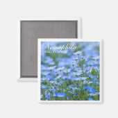 NEMOPHILA (Baby Blue Eyes) Magnet (Vorderseite/Rückseite)