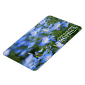 NEMOPHILA (Baby Blue Eyes) Magnet (Linke Seite)