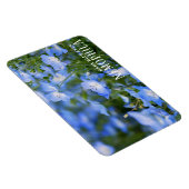 NEMOPHILA (Baby Blue Eyes) Magnet (Rechte Seite)
