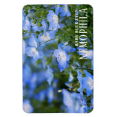NEMOPHILA (Baby Blue Eyes) Magnet (Vertikal)