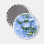 NEMOPHILA (Baby Blue Eyes) Magnet (Vorderseite/Rückseite)