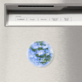 NEMOPHILA (Baby Blue Eyes) Magnet (In Situ (Geschirrspüler))