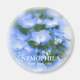 NEMOPHILA (Baby Blue Eyes) Magnet