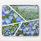NEMOPHILA（Baby Blue Eyes） Mousepad (Vorne)