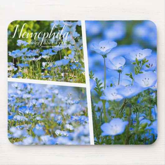 NEMOPHILA（Baby Blue Eyes） Mousepad (Vorne)