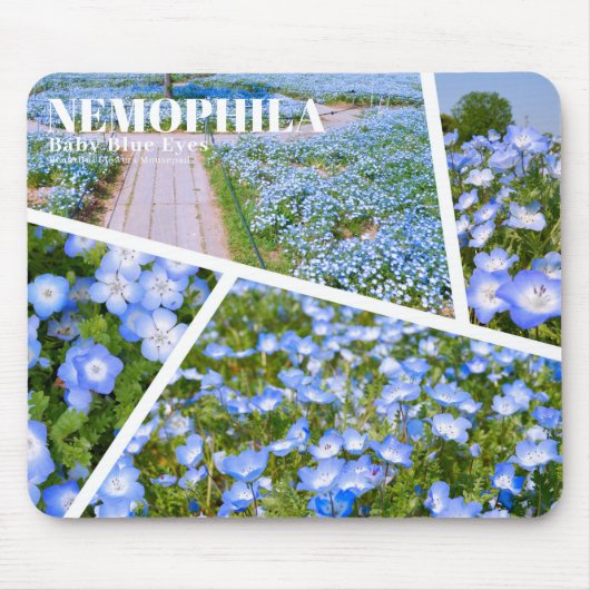 NEMOPHILA(Baby Blue Eyes) Mousepad (Vorne)