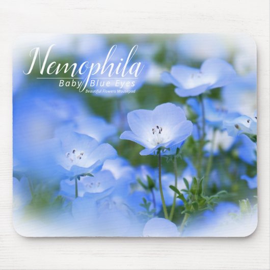 NEMOPHILA (Baby Blue Eyes) Mousepad (Vorne)