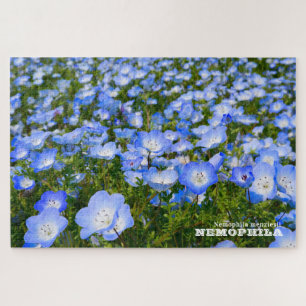 NEMOPHILA (Baby Blue Eyes) Puzzle