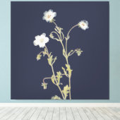 Nemophila-Blumen Leinwanddruck (Insitu (Holzboden))