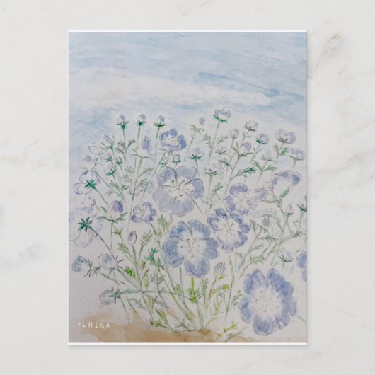 nemophila postkarte (Vorderseite)