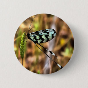 Nemoptera bipennis Spoon-Winged Insekt Art Button