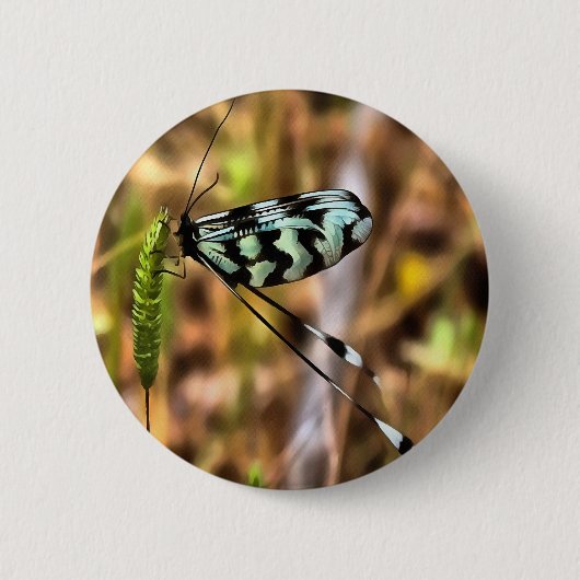 Nemoptera bipennis Spoon-Winged Insekt Art Button (Vorderseite)