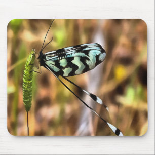 Nemoptera bipennis Spoon-Winged Insekt Art Mousepad