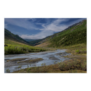 Nenana Flussbett Alaska Poster