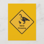 Nene Crossing, Traffic Warning Sign, Hawaii, USA Postkarte (Vorderseite)