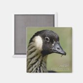 Nene Hawaiian Gans Magnet (Vorderseite/Rückseite)