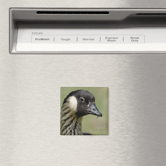 Nene Hawaiian Gans Magnet (In Situ (Geschirrspüler))