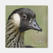 Nene Hawaiian Gans Magnet (Vorne)