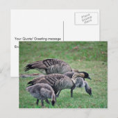 Nene Postkarte (Vorne/Hinten)