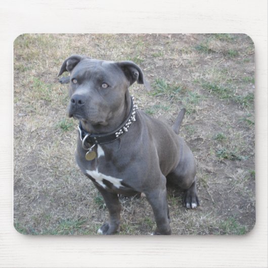 Nennen Sie Ihr Mousepadsarge Mousepad (Vorne)