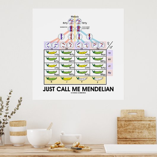 Nennen Sie mich Mendelian (Punnett Square Genetik) Poster (Küche)