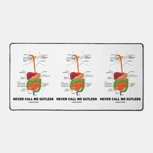 Nennen Sie mich nie Gutless Digestive System Geek Schreibtischunterlage (Vorderseite)