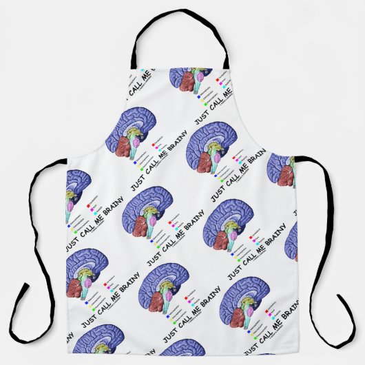 Nennen Sie mir Hirnanatomie Gehirnhöhe Schürze (Vorderseite)