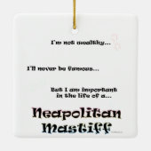 Neo Life Keramikornament (Rückseite)