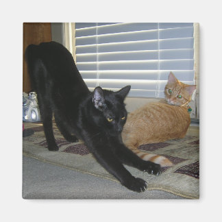 Neo- und Isabelle-Magnet Magnet