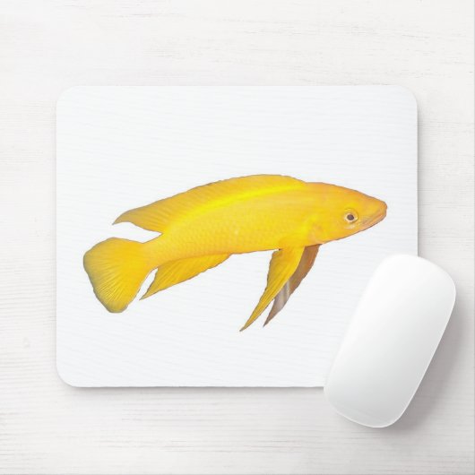 Neolamprologus leleupi mousepad (Mit Mouse)