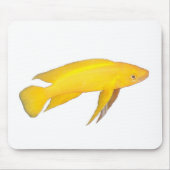 Neolamprologus leleupi mousepad (Vorne)