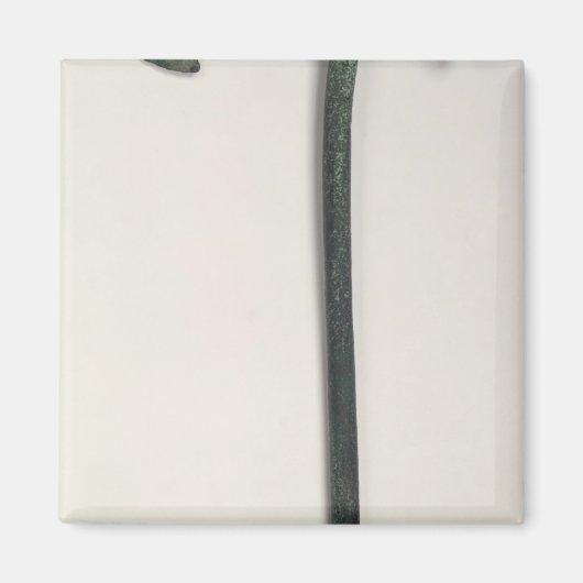 Neolithische Axt, 2000-1800 v. Chr. Magnet (Vorne)
