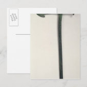 Neolithische Axt, 2000-1800 v. Chr. Postkarte (Vorne/Hinten)