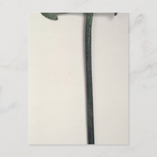 Neolithische Axt, 2000-1800 v. Chr. Postkarte (Vorderseite)