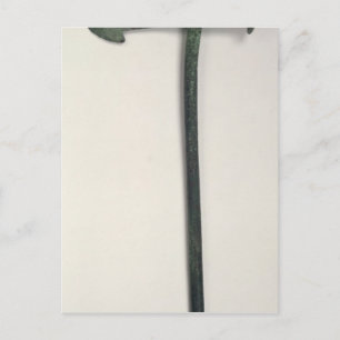 Neolithische Axt, 2000-1800 v. Chr. Postkarte