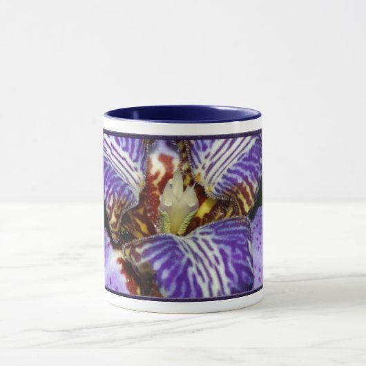 Neomarica Tasse (Zentrum)