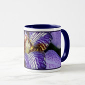 Neomarica Tasse (VorderseiteRechts)