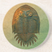 Neometacanthus Fossil Trilobit Sandstein Untersetzer (Vorne)