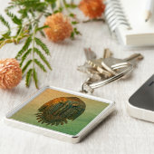 Neometacanthus Fossil Trilobit Schlüsselanhänger (Seite)